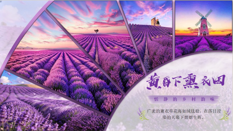 图片[3]-单页模版-持续更新中-带教程-星光PPT模板 一个PPT模板免费下载的网站